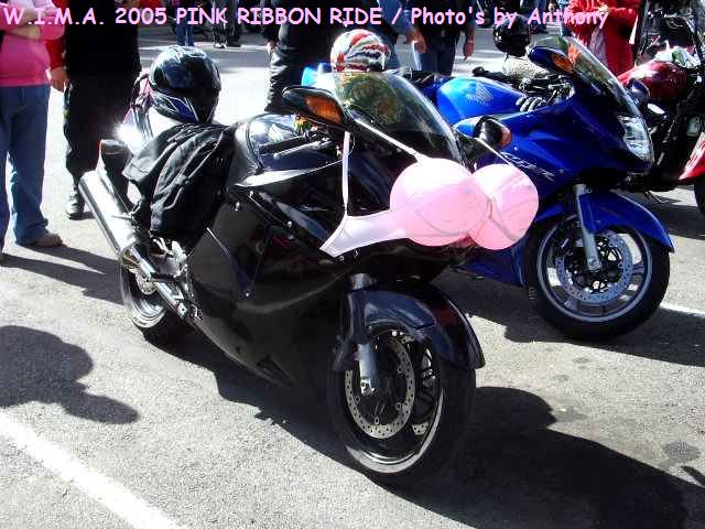 Pink Ribbon Ride 05 - dressed bike3