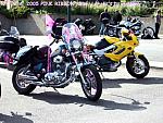 Pink Ribbon Ride 05 - dressed bike1