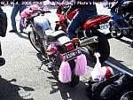 Pink Ribbon Ride 05 - dressed bike2